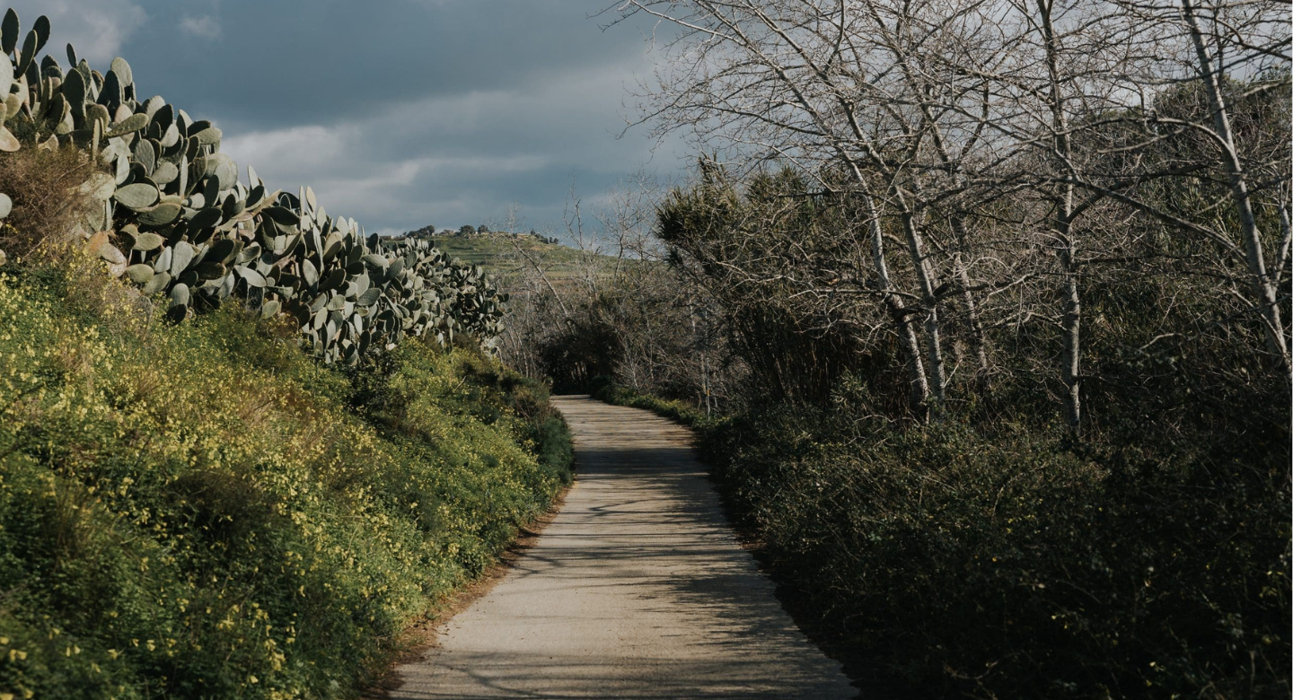 80% of all ‘public parks’ in Malta are smaller than a standard football pitch